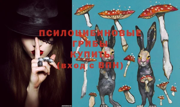 синтетический гашиш Новозыбков