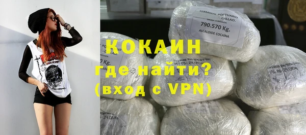 шишки Нягань